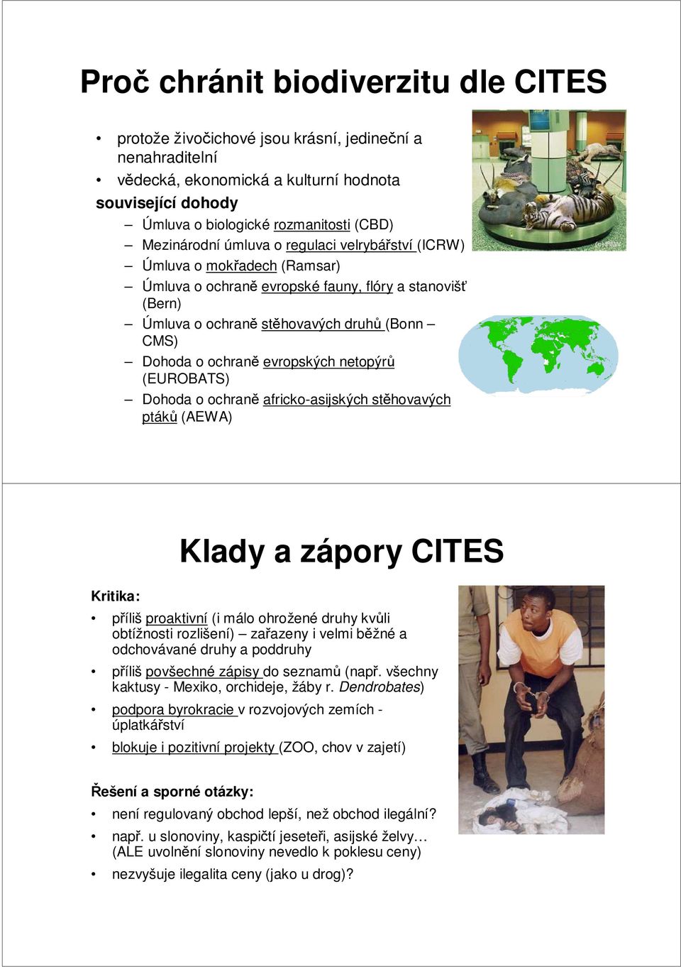 evropských netopýrů (EUROBATS) Dohoda o ochraně africko-asijských stěhovavých ptáků (AEWA) Kritika: Klady a zápory CITES příliš proaktivní (i málo ohrožené druhy kvůli obtížnosti rozlišení) zařazeny