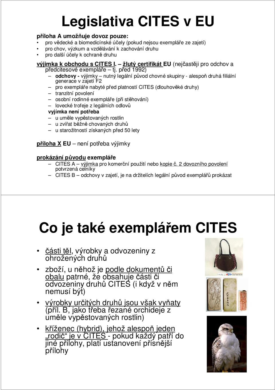 před 1992) odchovy - výjimky nutný legální původ chovné skupiny - alespoň druhá filiální generace v zajetí F2 pro exempláře nabyté před platností CITES (dlouhověké druhy) tranzitní povolení osobní