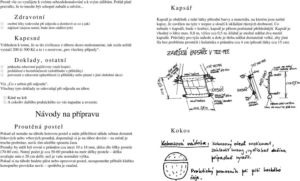 nedostaneme, tak zcela určitě vystačí 200 či 300 Kč a to i s rezervou pro všechny případy. K a p s ář Kapsář je obdélník z tuhé látky přírodní barvy a materiálu, na kterém jsou našité kapsy.