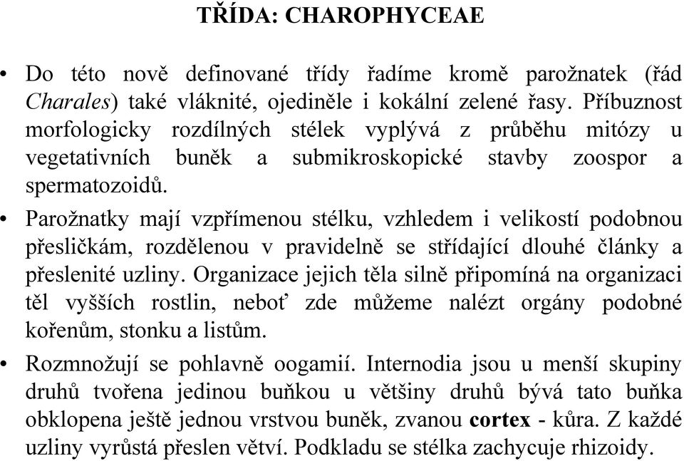 Parožnatky mají vzpřímenou stélku, vzhledem i velikostí podobnou přesličkám, rozdělenou v pravidelně se střídající dlouhé články a přeslenité uzliny.