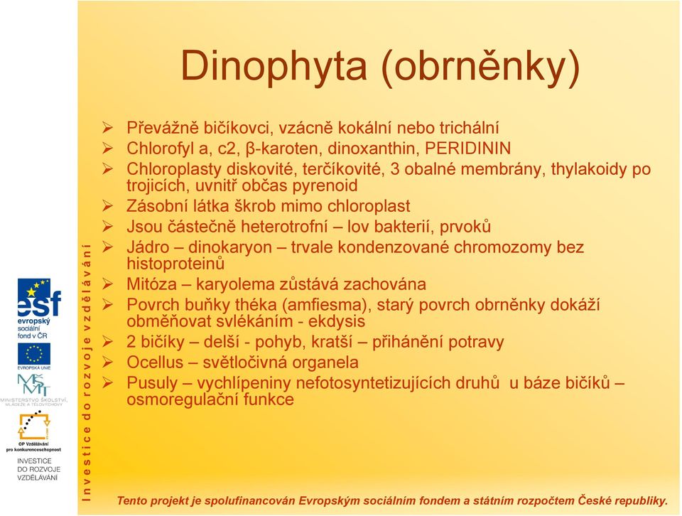 trvale kondenzované chromozomy bez histoproteinů Mitóza karyolema zůstává zachována Povrch buňky théka (amfiesma), starý povrch obrněnky dokáží obměňovat svlékáním -