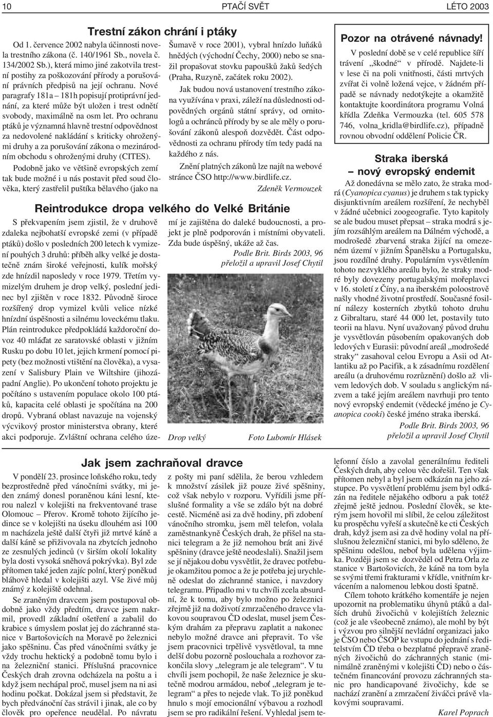 Kromě tohoto žijícího jedince se v kolejišti na úseku dlouhém asi 100 m nacházela ještě další čtyři již mrtvé káně a další káně se přiživovala na zbytcích jednoho ze zesnulých jedinců (v širším okolí