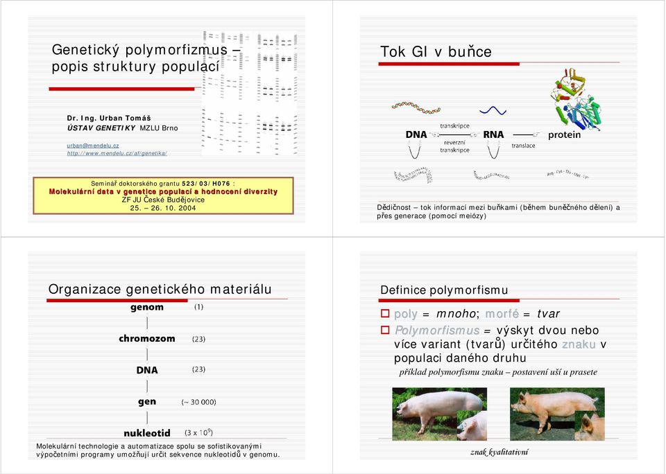 004 Dědičnost tok informací mezi buňkami (během buněčného dělení) a řes generace (omocí meiózy) Organizace genetického materiálu Definice olymorfismu oly mnoho; morfé tvar