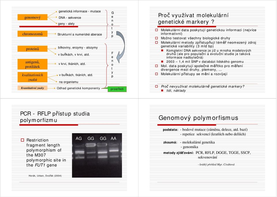 Molekulární data oskytují genetickou informaci (nejvíce informativní) Možno testovat všechny biologické druhy Molekulární metody zřístuňují téměř neomezený zdroj genetické variability (3 mld b)