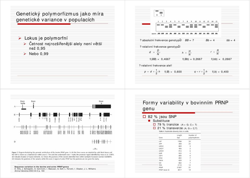 d + h f(b) 0,600 q r + h f(b) 0,400 Formy variability v bovinním PRP genu 8 % jsou SP Substituce 79 % tranzice (A > G; C > T) % transverze (A, G > C,T)