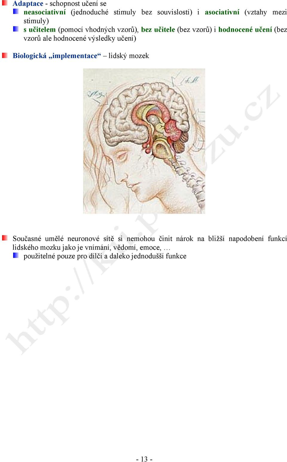 výsledky učení) Biologická implementace lidský mozek Současné umělé neuronové sítě si nemohou činit nárok na bližší