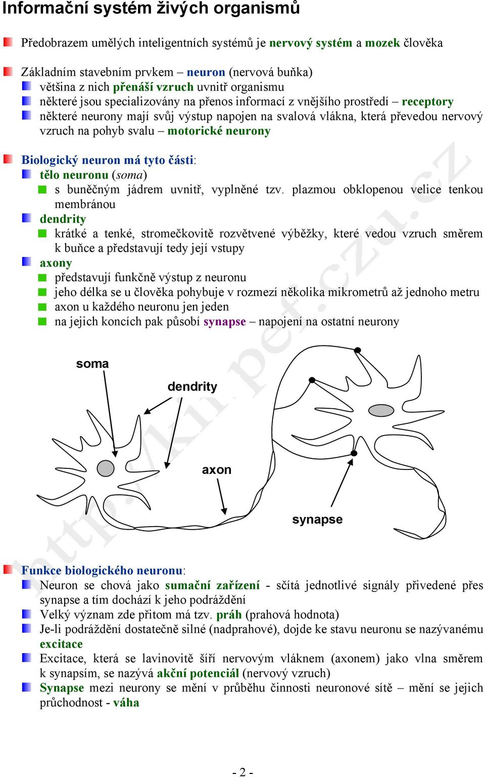 motorické neurony Biologický neuron má tyto části: tělo neuronu (soma) s buněčným jádrem uvnitř, vyplněné tzv.