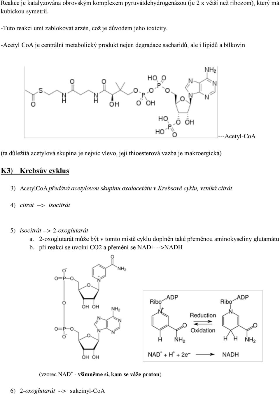 makroergická) K3) Krebsův cyklus 3) AcetylCoA předává acetylovou skupinu oxalacetátu v Krebsově cyklu, vzniká citrát 4) citrát --> isocitrát 5) isocitrát --> 2-oxoglutarát a.
