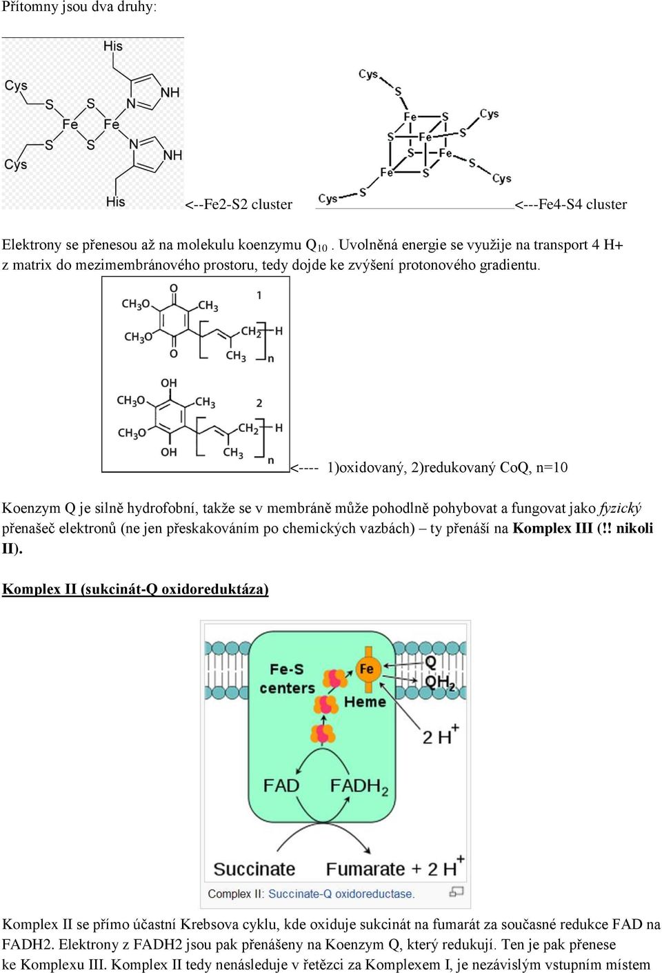 <---- 1)oxidovaný, 2)redukovaný CoQ, n=10 Koenzym Q je silně hydrofobní, takže se v membráně může pohodlně pohybovat a fungovat jako fyzický přenašeč elektronů (ne jen přeskakováním po chemických