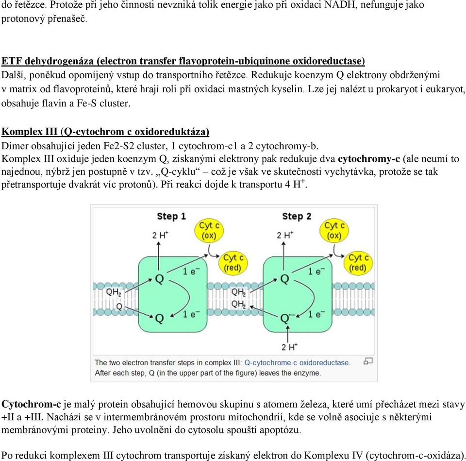 Redukuje koenzym Q elektrony obdrženými v matrix od flavoproteinů, které hrají roli při oxidaci mastných kyselin. Lze jej nalézt u prokaryot i eukaryot, obsahuje flavin a Fe-S cluster.