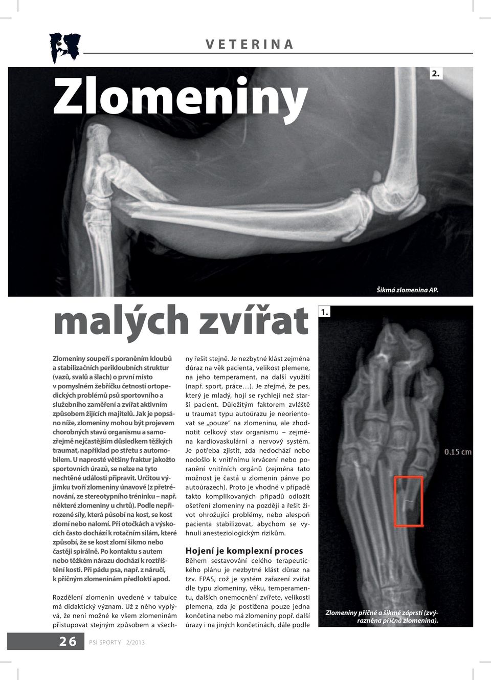 zaměření a zvířat aktivním způsobem žijících majitelů.