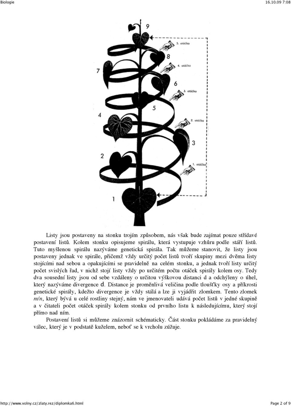 Tak můžeme stanovit, že listy jsou postaveny jednak ve spirále, přičemž vždy určitý počet listů tvoří skupiny mezi dvěma listy stojícími nad sebou a opakujícími se pravidelně na celém stonku, a