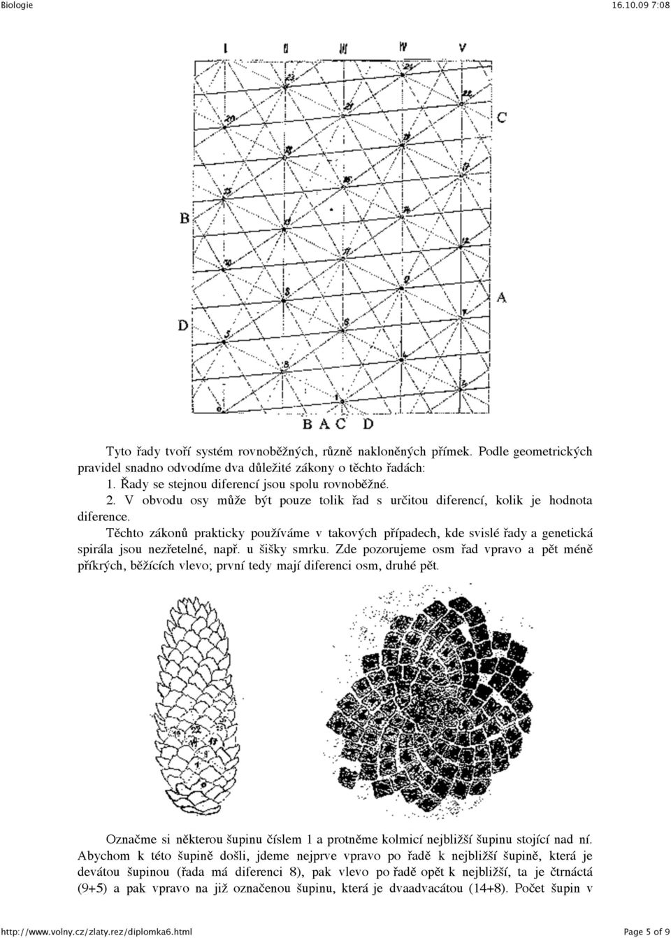 Těchto zákonů prakticky používáme v takových případech, kde svislé řady a genetická spirála jsou nezřetelné, např. u šišky smrku.