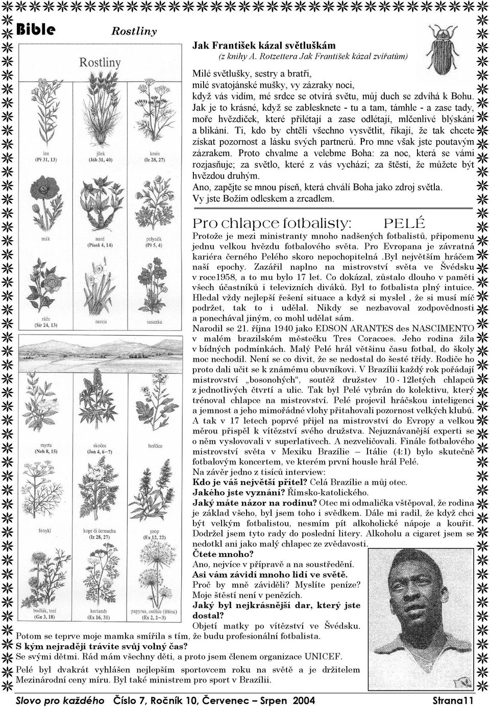 Jak je to krásné, když se zablesknete - tu a tam, támhle - a zase tady, moře hvězdiček, které přilétají a zase odlétají, mlčenlivé blýskání a blikání.