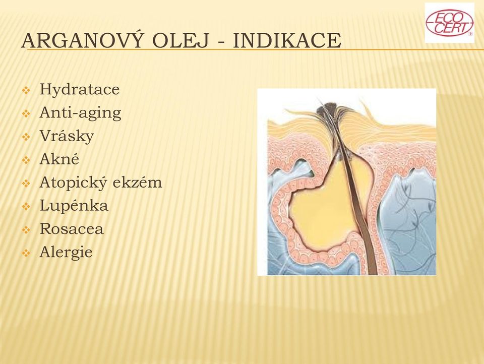 Anti-aging Vrásky Akné