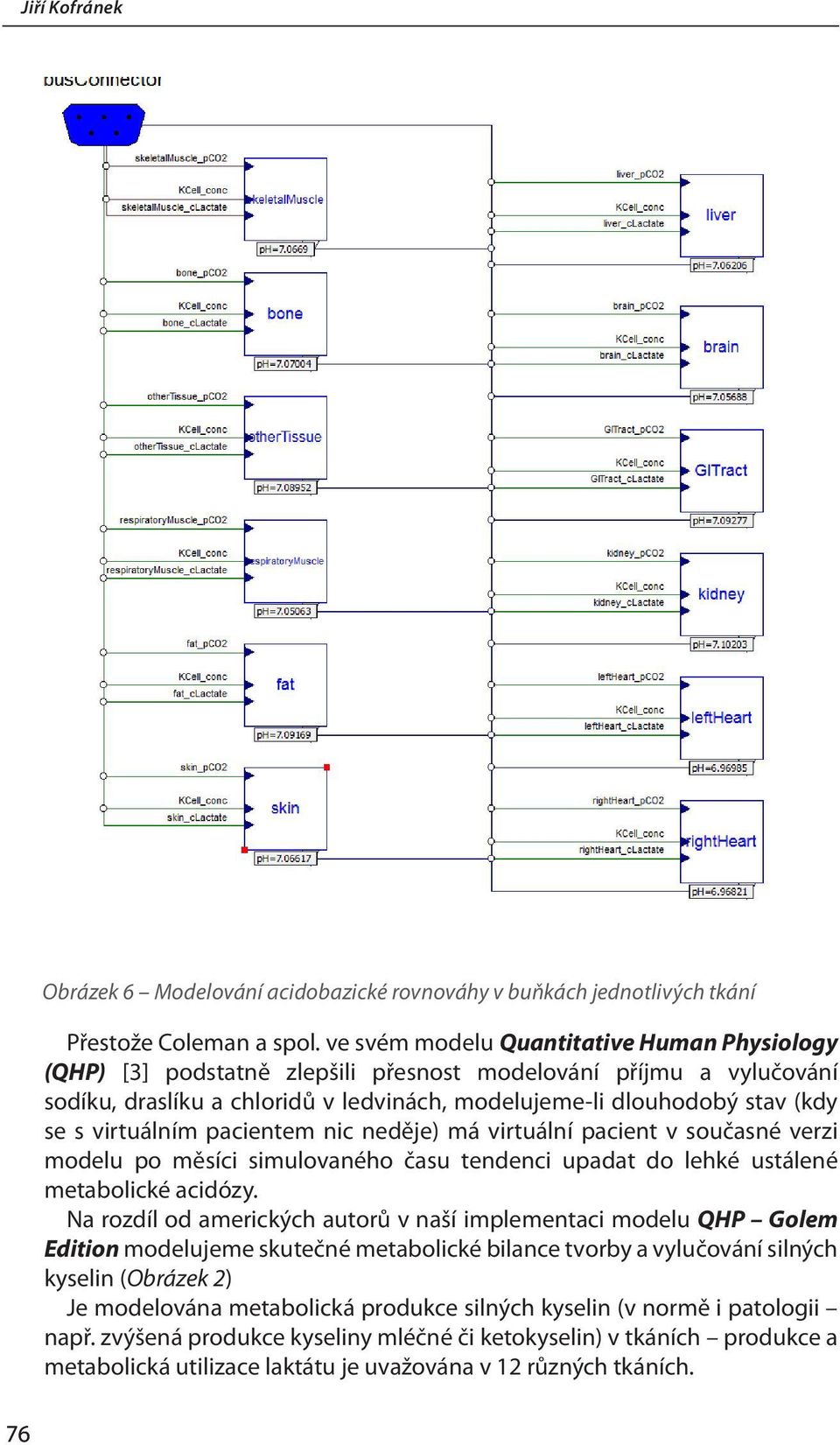 virtuálním pacientem nic neděje) má virtuální pacient v současné verzi modelu po měsíci simulovaného času tendenci upadat do lehké ustálené metabolické acidózy.