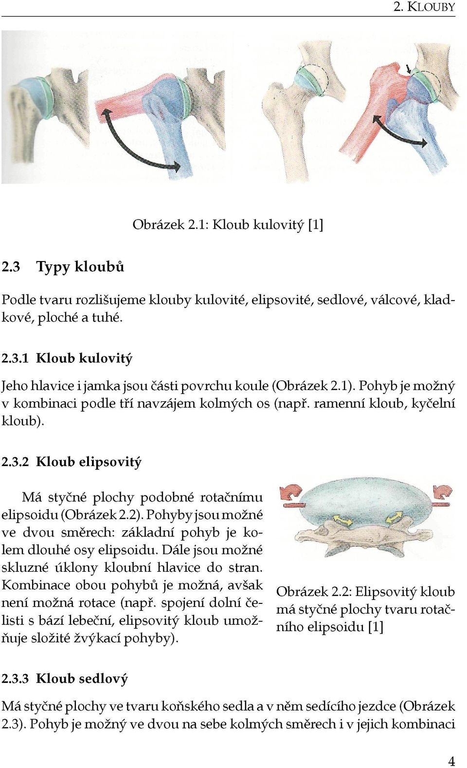 Pohyby j sou možné ve dvou směrech: základní pohyb je kolem dlouhé osy elipsoidu. Dále jsou možné skluzné úklony kloubní hlavice do stran.