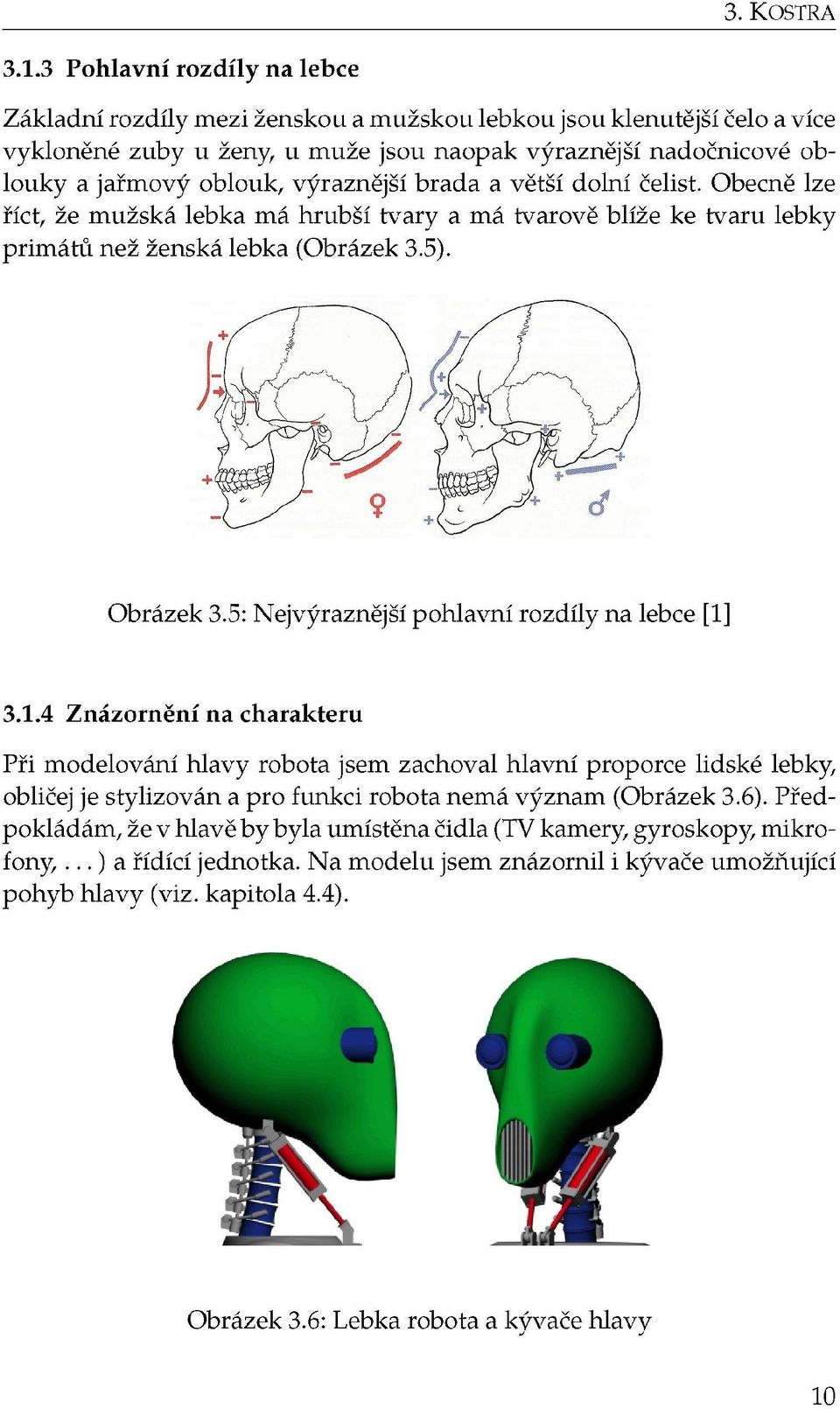 výraznější brada a větší dolní čelist. Obecně lze říct, že mužská lebka má hrubší tvary a má tvarově blíže ke tvaru lebky primátů než ženská lebka (Obrázek 3.5). Obrázek 3.