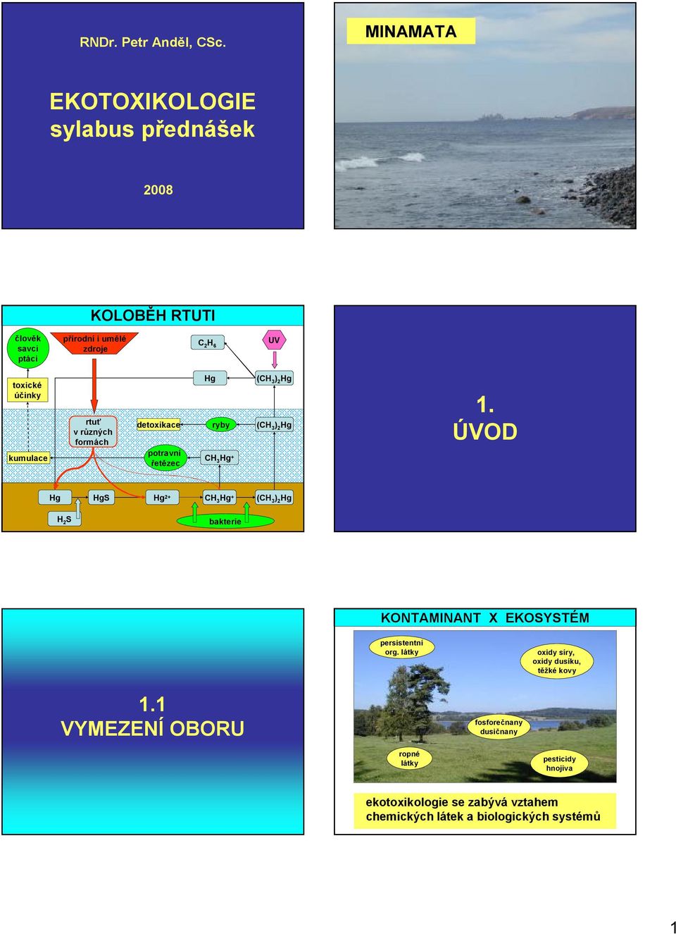 kumulace rtuť v různých formách detoxikace potravní řetězec Hg ryby CH 3 Hg + (CH 3 ) 2 Hg (CH 3 ) 2 Hg 1.