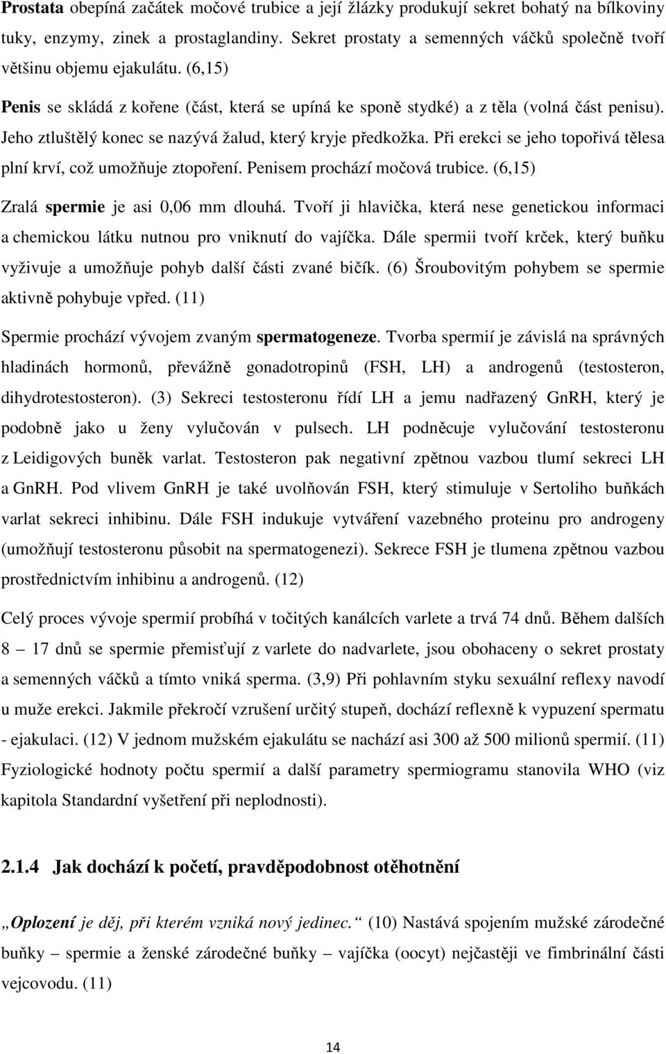 Jeho ztluštělý konec se nazývá žalud, který kryje předkožka. Při erekci se jeho topořivá tělesa plní krví, což umožňuje ztopoření. Penisem prochází močová trubice.