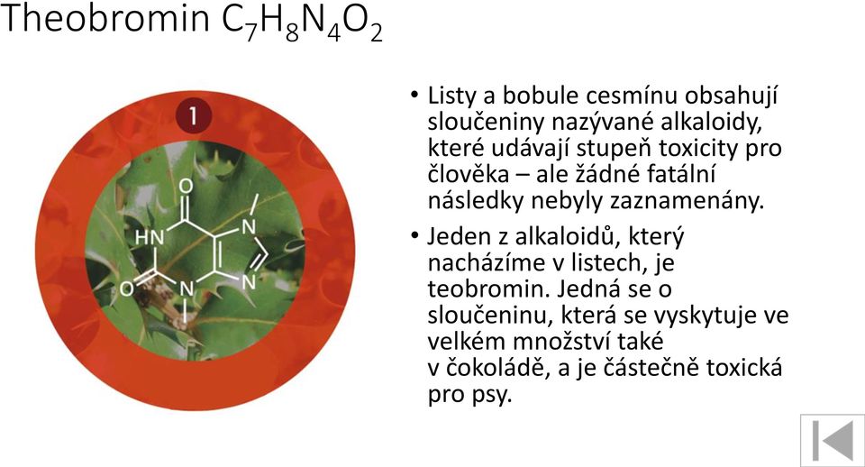 zaznamenány. Jeden z alkaloidů, který nacházíme v listech, je teobromin.