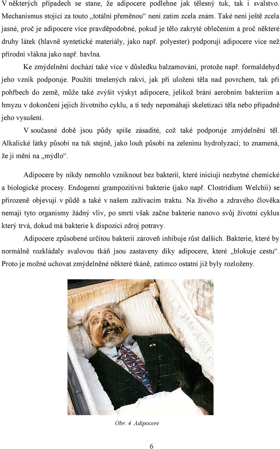 polyester) podporují adipocere více než přírodní vlákna jako např. bavlna. Ke zmýdelnění dochází také více v důsledku balzamování, protože např. formaldehyd jeho vznik podporuje.