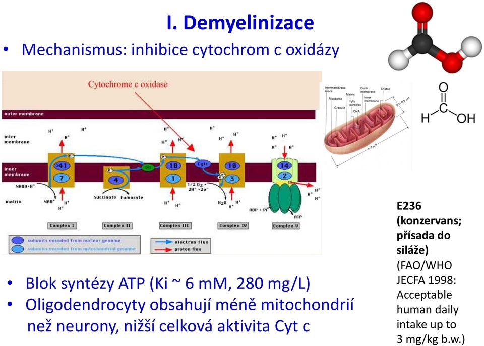 neurony, nižší celková aktivita Cyt c E236 (konzervans; přísada do