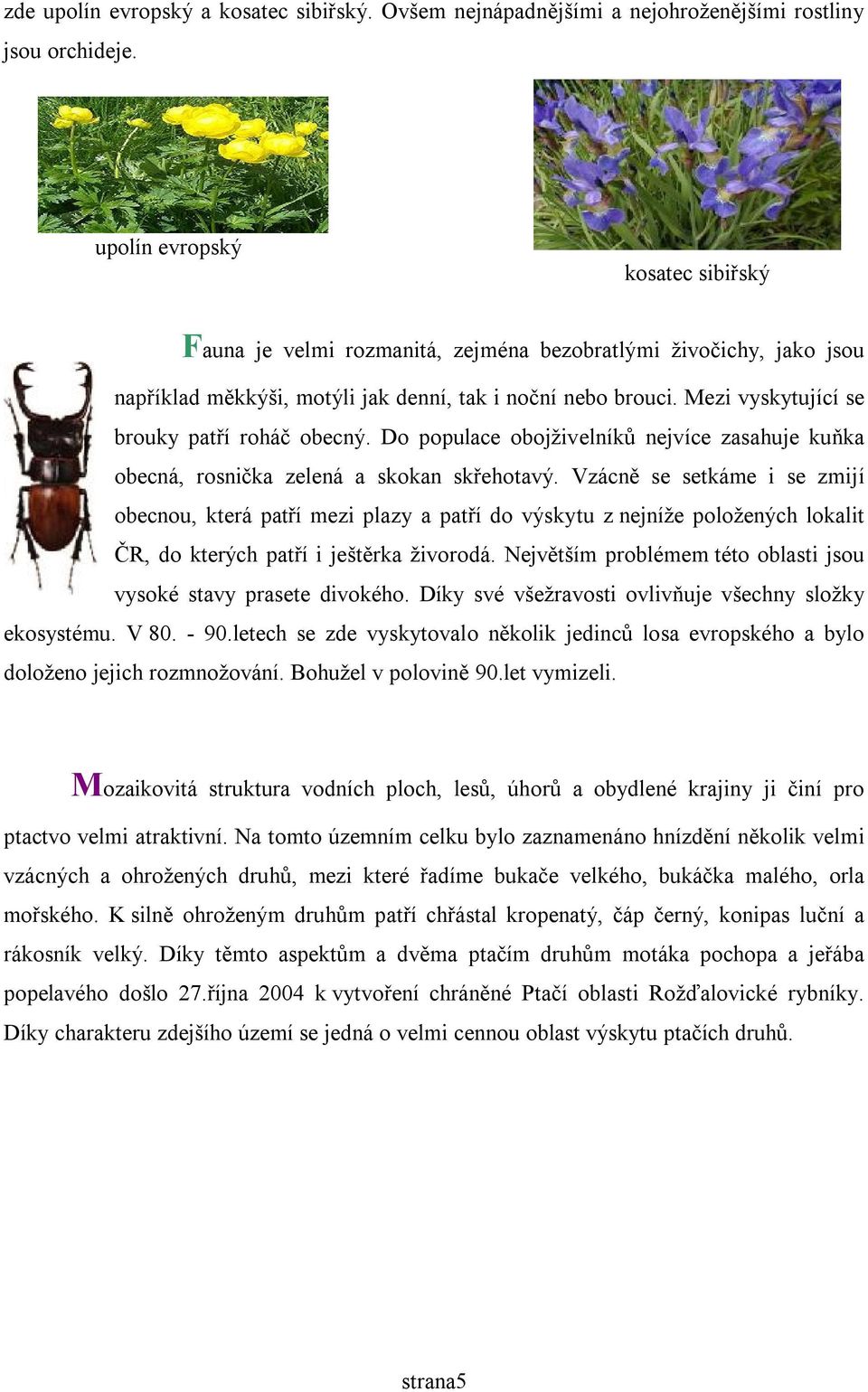 Mezi vyskytující se brouky patří roháč obecný. Do populace obojživelníků nejvíce zasahuje kuňka obecná, rosnička zelená a skokan skřehotavý.