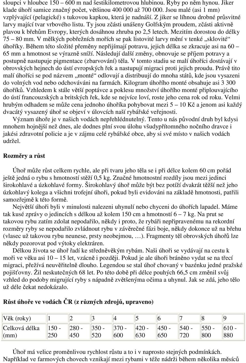 Ty jsou zčásti unášeny Golfským proudem, zčásti aktivně plavou k břehům Evropy, kterých dosáhnou zhruba po 2,5 letech. Mezitím dorostou do délky 75 80 mm.