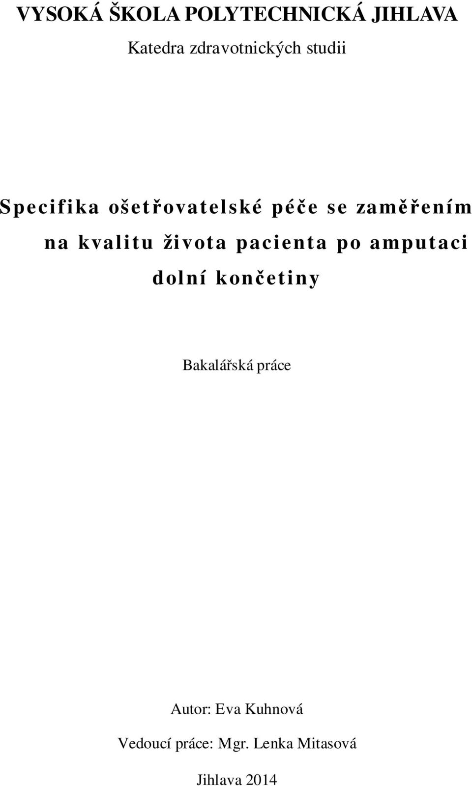 života pacienta po amputaci dolní končetiny Bakalářská práce