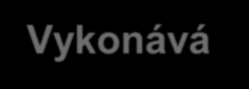 Vykonává zejména SLUŽBA INTERNÍHO AUDITU audit systému k ověření spolehlivosti a účinnosti řídicích a kontrolních mechanismů, audit operací k ověření, že operace jsou