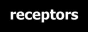 Nové markery v detekci infekce/zánětu Pattern recognition receptors (PRR) Toll-like receptors (TLR) srage-receptor for advanced glycation end products Calcium binding proteins (A-C) Proteomic