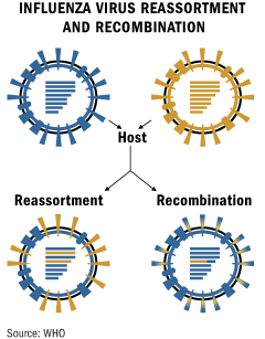 Influenza A - Variabilita 1. Zoonóza 2.