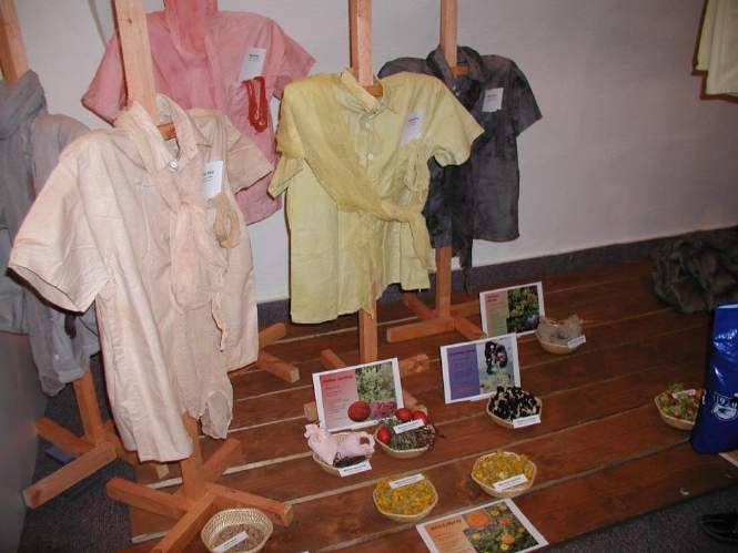 Tradiční technologie Barviva z rostlin byly v minulosti tradičně využívány při barvení textilu Oživení tradice barvení prac.