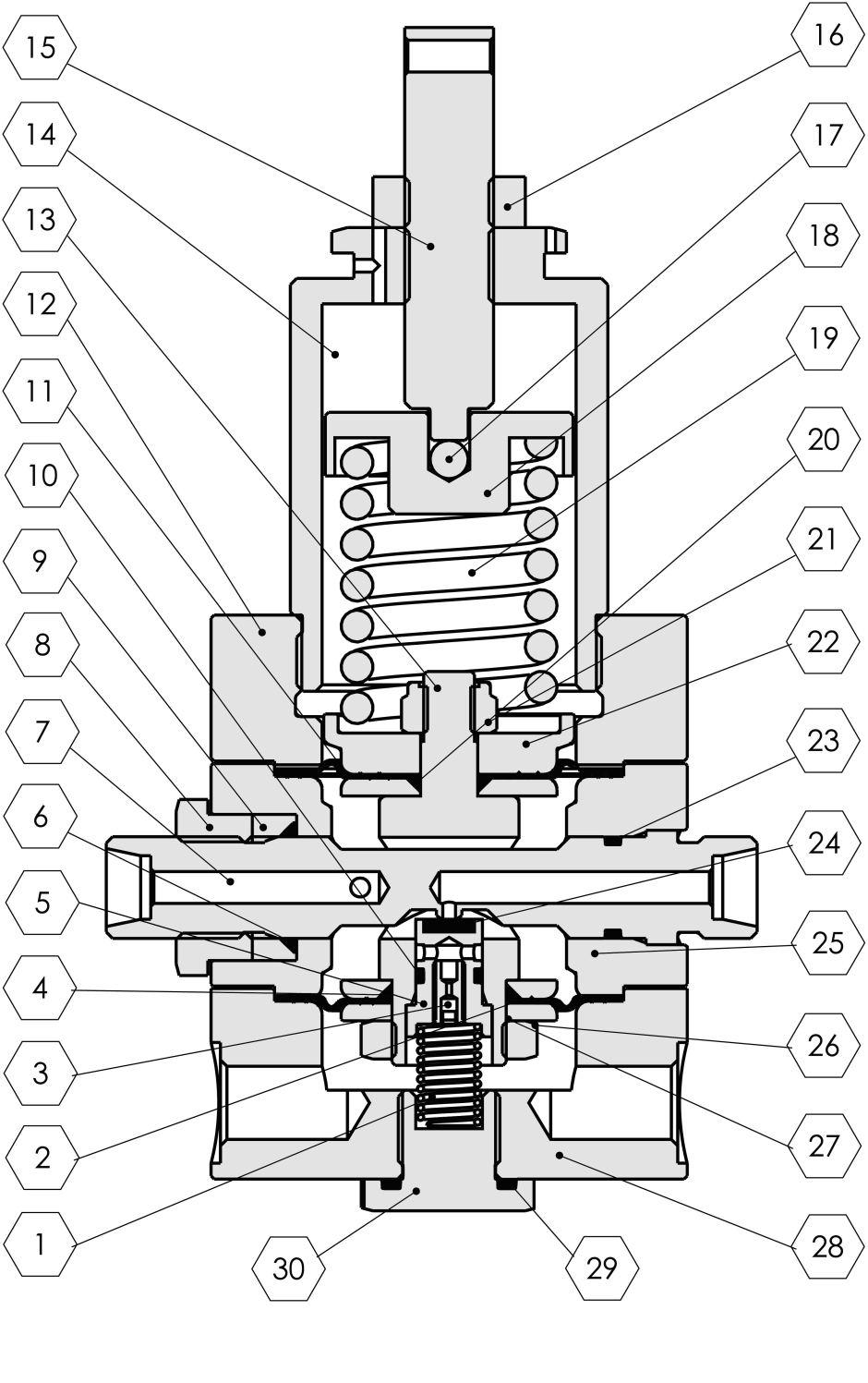 1. Pruţina 2. Spodní membrána 3. Tryska 4. O-krouţek 5. Kuţelka 6. O-krouţek 7. Sedlo 8. Šroub 9. Těsnící podloţka 10. O-krouţek 11. Horní membrána 12. Horní víko 13. Vřeteno 14. Kryt 15.