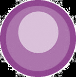 Haemopoiesis Blood stem cells Myeloid stem cell Lymphoid stem cell Myeloblast Eosinophil Granulocytes
