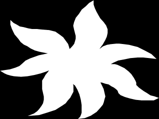 Dvouděložné plevele 1. Pcháč oset - Cirsium arvense Hvězdnicovité 2. Merlík bílý Chenopodium album Merlíkovité 3. Laskavec ohnutý - Amaranthus retroflexus Laskavcovité 4.