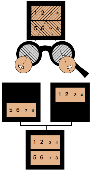 Světelný test je rozdělen do dvou polovin na horní a dolní.