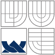 VYSOKÉ UČENÍ TECHNICKÉ V BRNĚ BRNO UNIVERSITY OF TECHNOLOGY FAKULTA ELEKTROTECHNIKY A KOMUNIKAČNÍCH TECHNOLOGIÍ ÚSTAV BIOMEDICÍNSKÉHO INŽENÝRSTVÍ FACULTY OF ELECTRICAL ENGINEERING AND COMMUNICATION