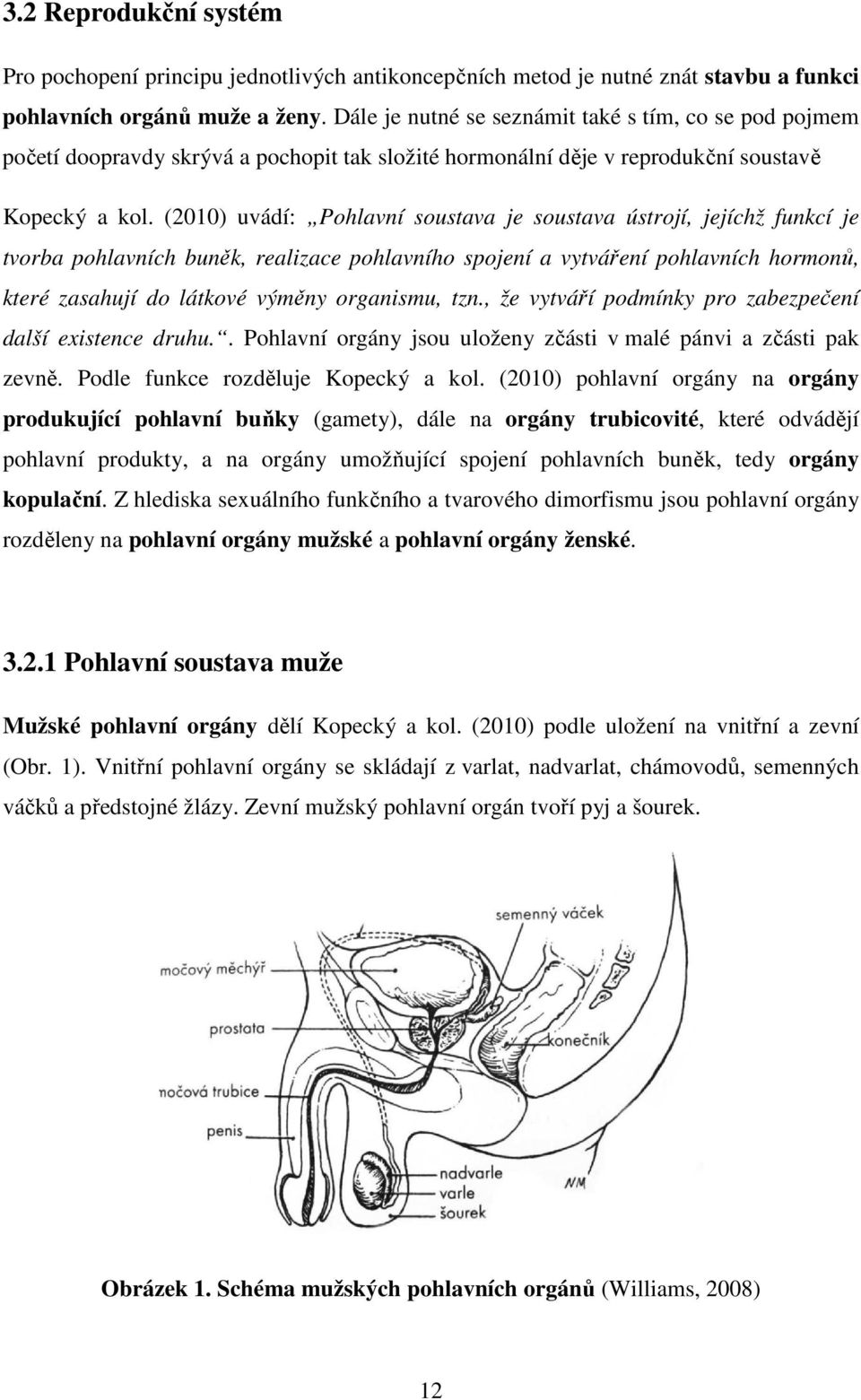 (2010) uvádí: Pohlavní soustava je soustava ústrojí, jejíchž funkcí je tvorba pohlavních buněk, realizace pohlavního spojení a vytváření pohlavních hormonů, které zasahují do látkové výměny