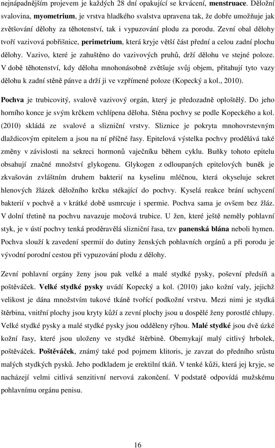 Zevní obal dělohy tvoří vazivová pobřišnice, perimetrium, která kryje větší část přední a celou zadní plochu dělohy. Vazivo, které je zahuštěno do vazivových pruhů, drží dělohu ve stejné poloze.