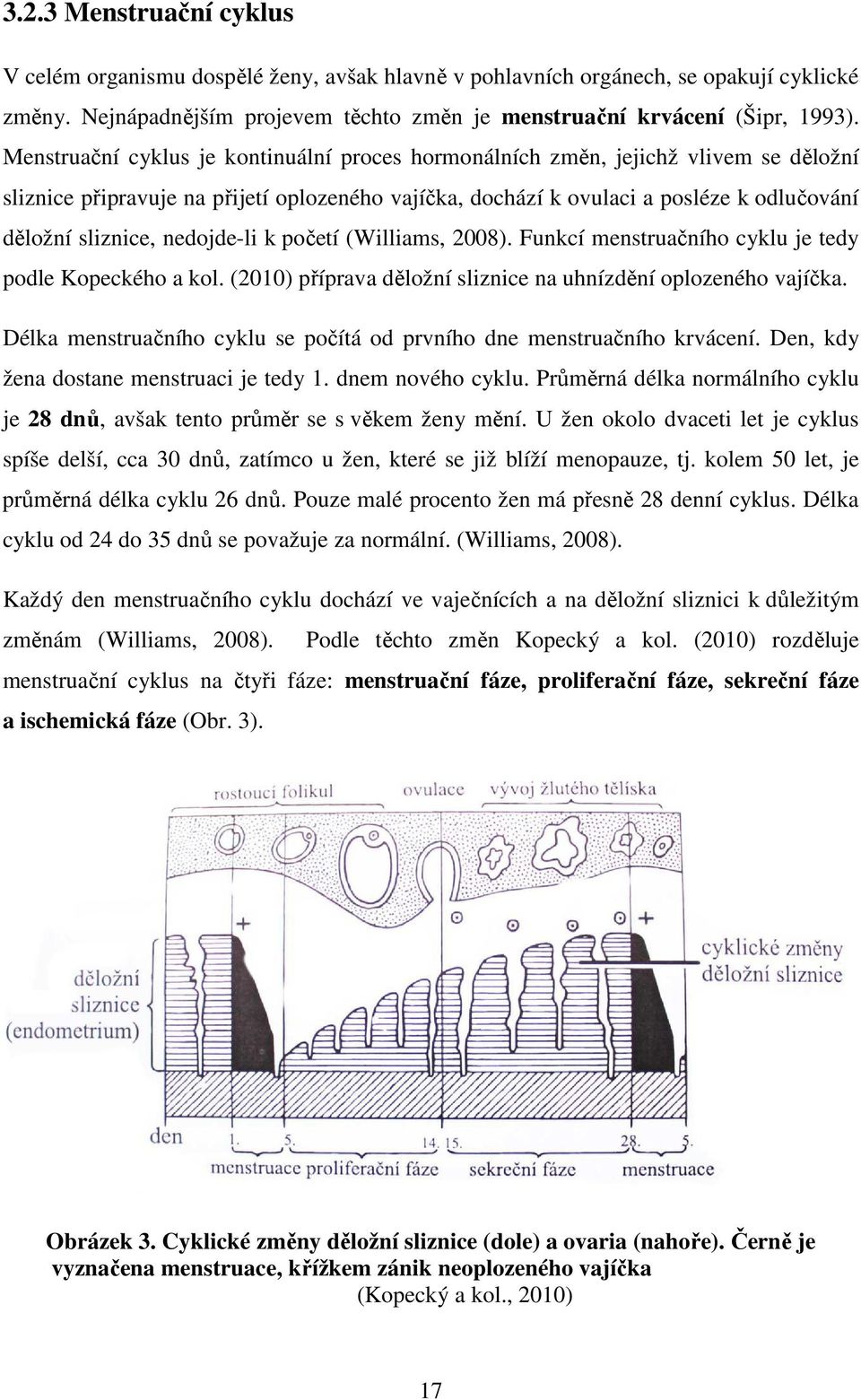 nedojde-li k početí (Williams, 2008). Funkcí menstruačního cyklu je tedy podle Kopeckého a kol. (2010) příprava děložní sliznice na uhnízdění oplozeného vajíčka.