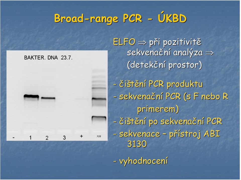 produktu - sekvenační PCR (s F nebo R primerem) -
