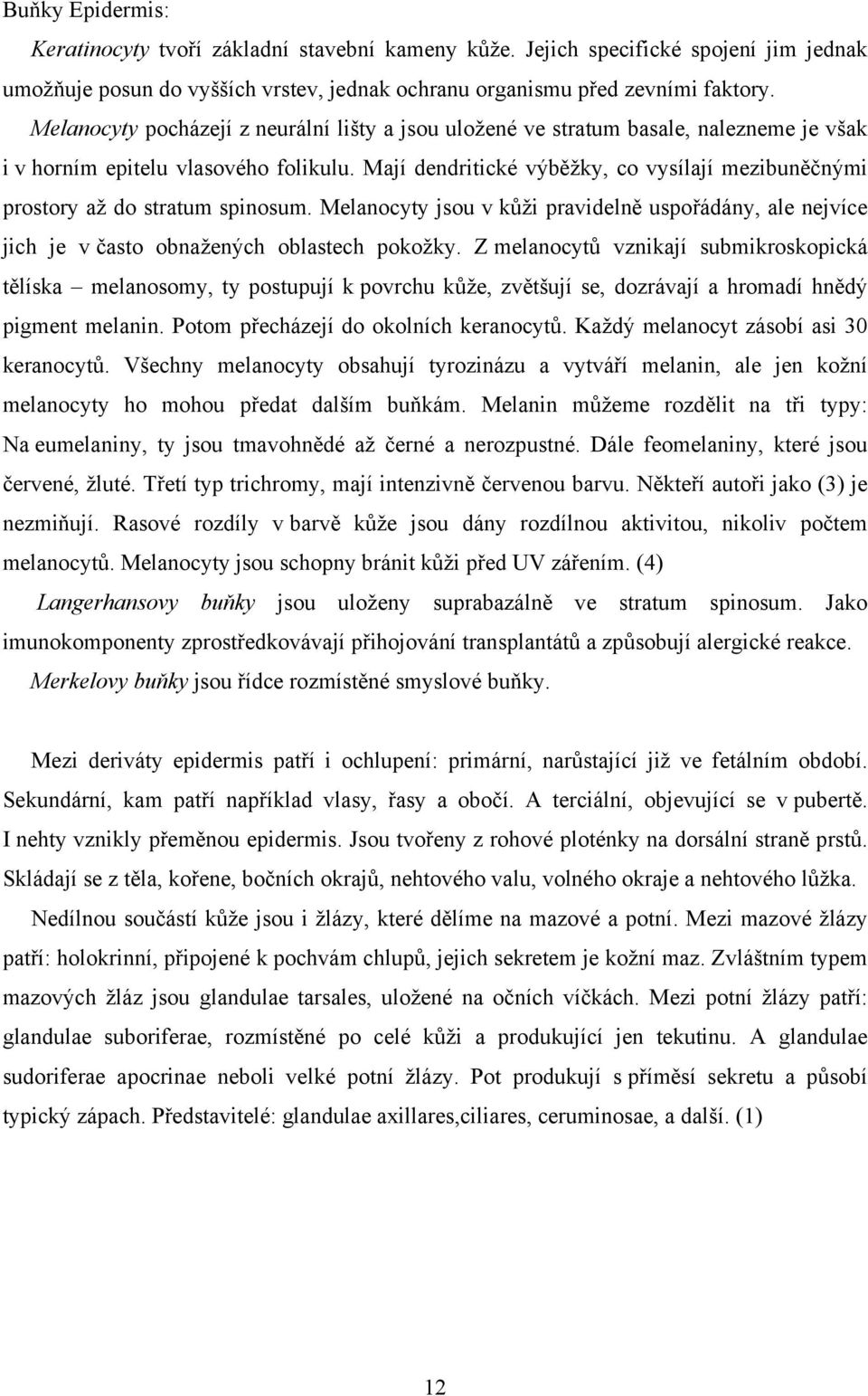 Mají dendritické výběžky, co vysílají mezibuněčnými prostory až do stratum spinosum. Melanocyty jsou v kůži pravidelně uspořádány, ale nejvíce jich je v často obnažených oblastech pokožky.