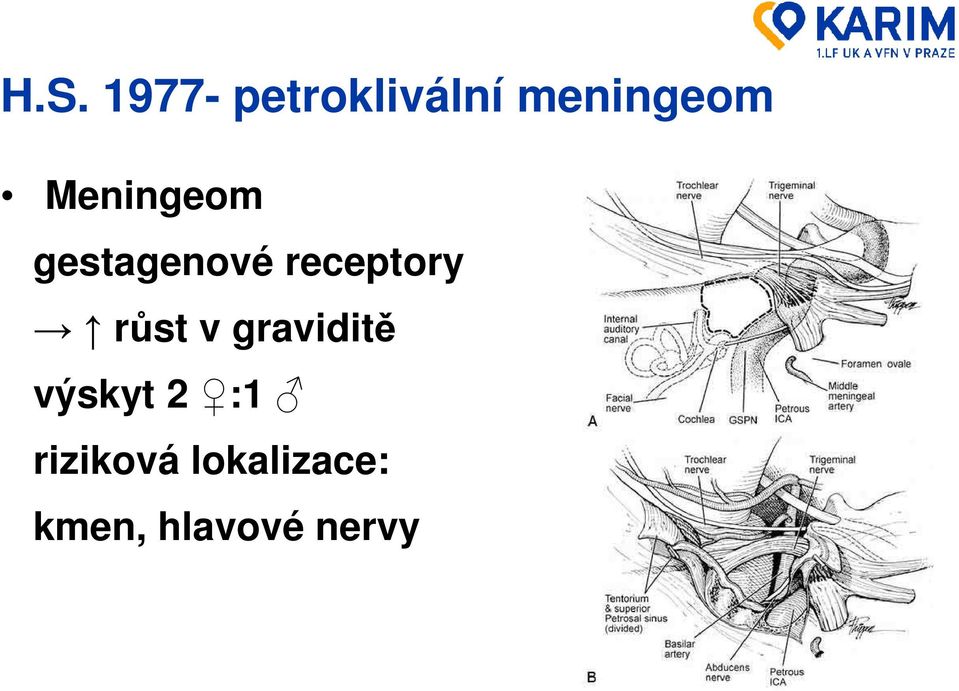 receptory růst v graviditě výskyt