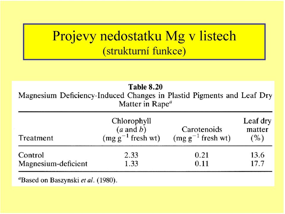 Mg v listech