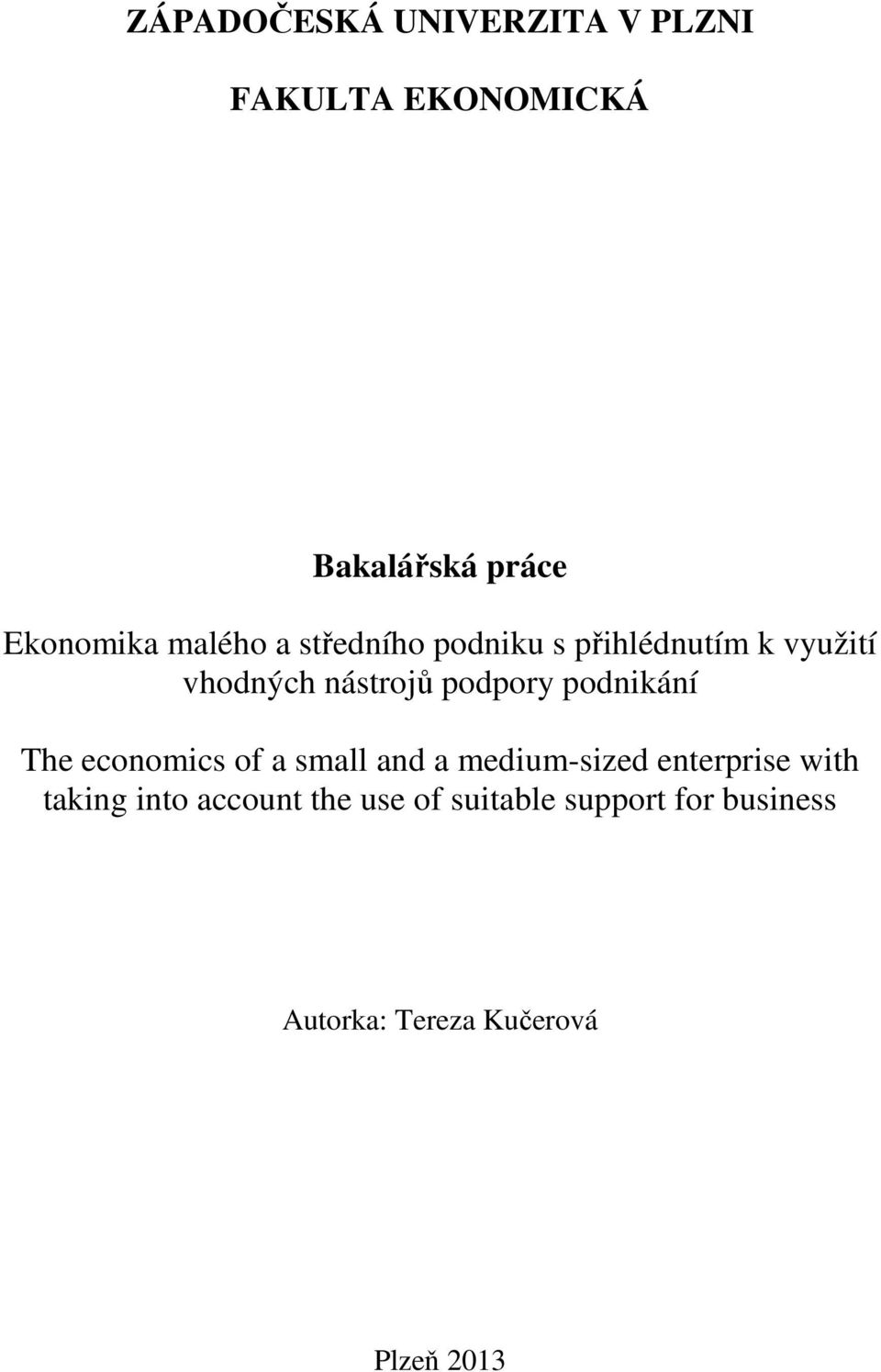 podnikání The economics of a small and a medium-sized enterprise with taking