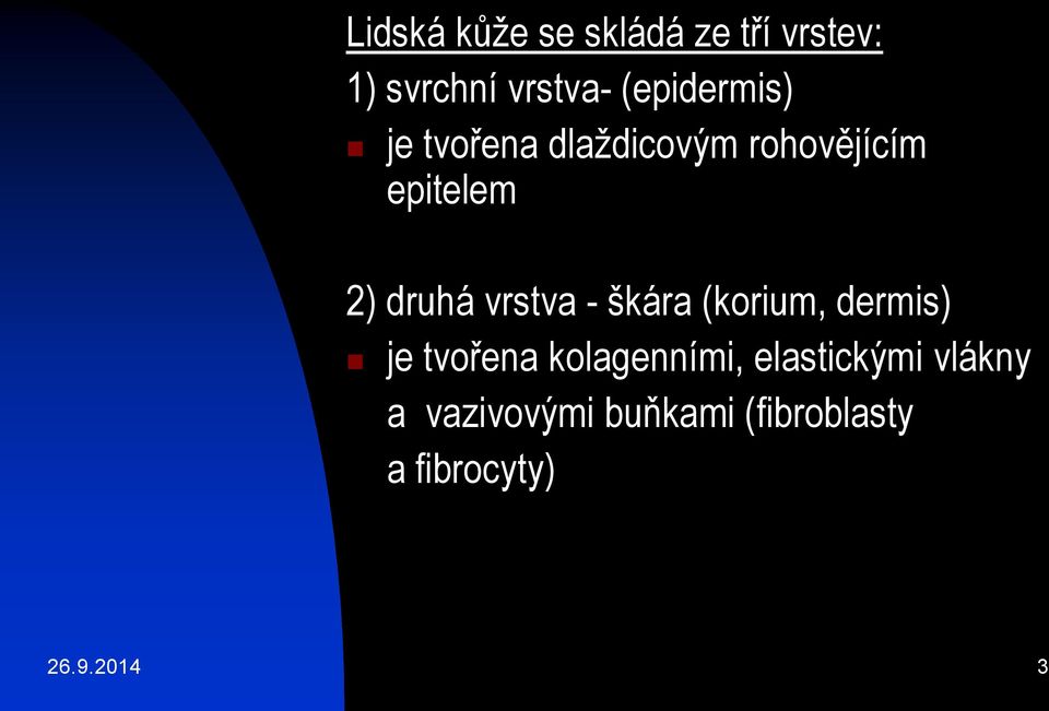 druhá vrstva - škára (korium, dermis) je tvořena kolagenními,