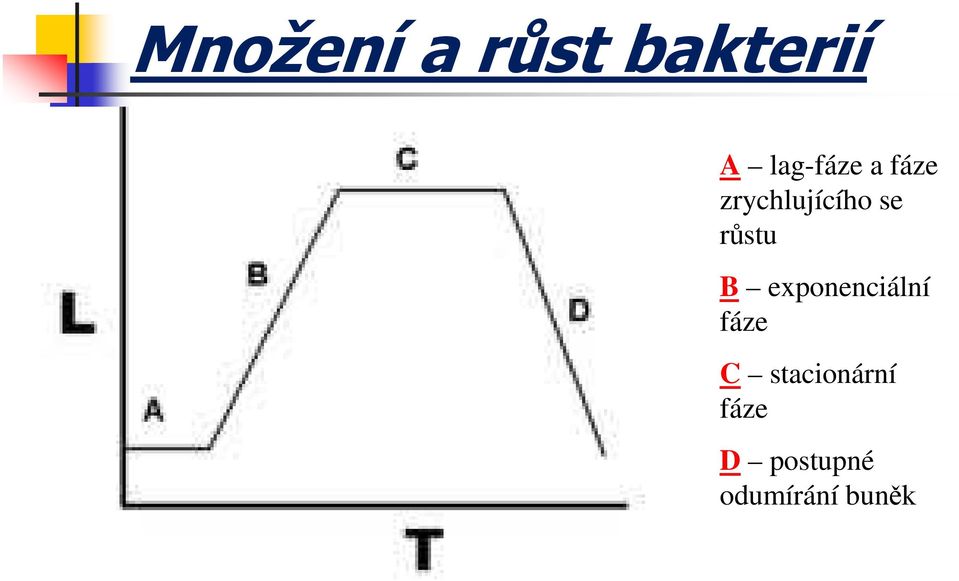 růstu B exponenciální fáze C