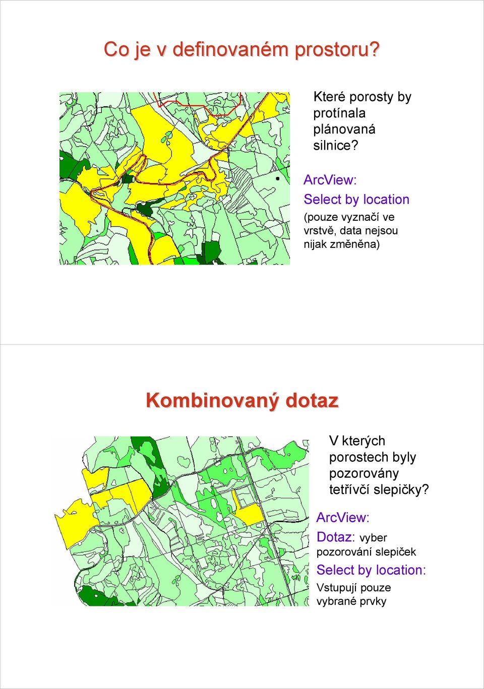 Kombinovaný dotaz V kterých porostech byly pozorovány tetřívčí slepičky?